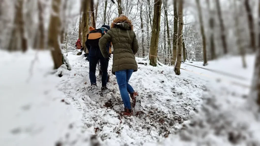 Wyprawa do Baśniowego Lasu, czyli wielkie Święto Leśnych Rodzin
